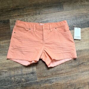 Carve Designs Oahu Shorts